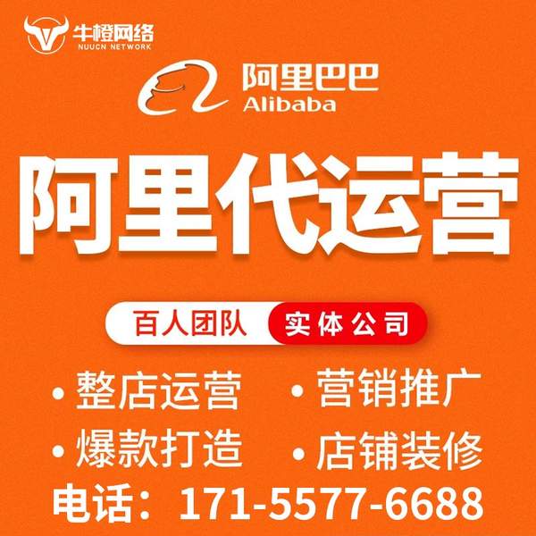 瑞金电商代运营