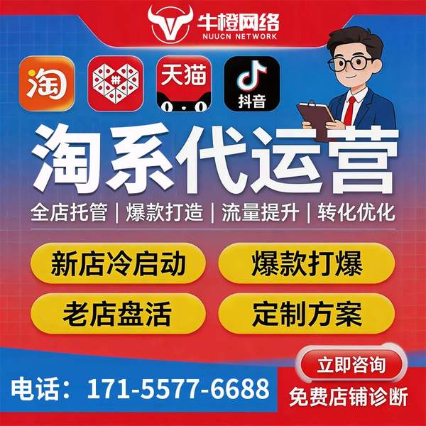 瑞金电商代运营