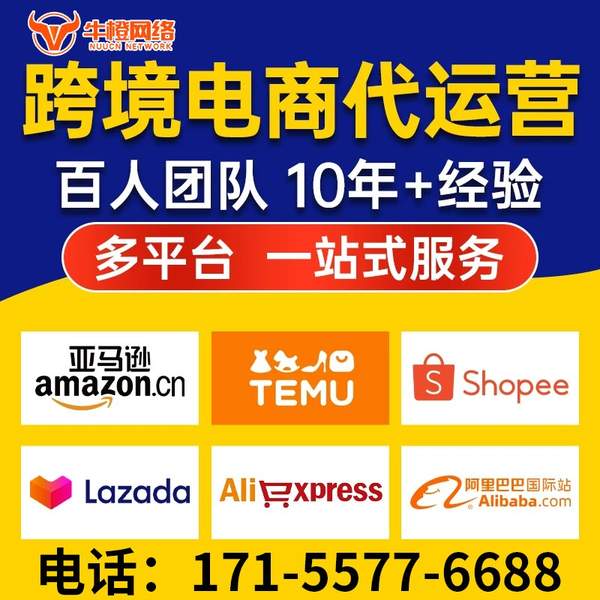 瑞金电商代运营