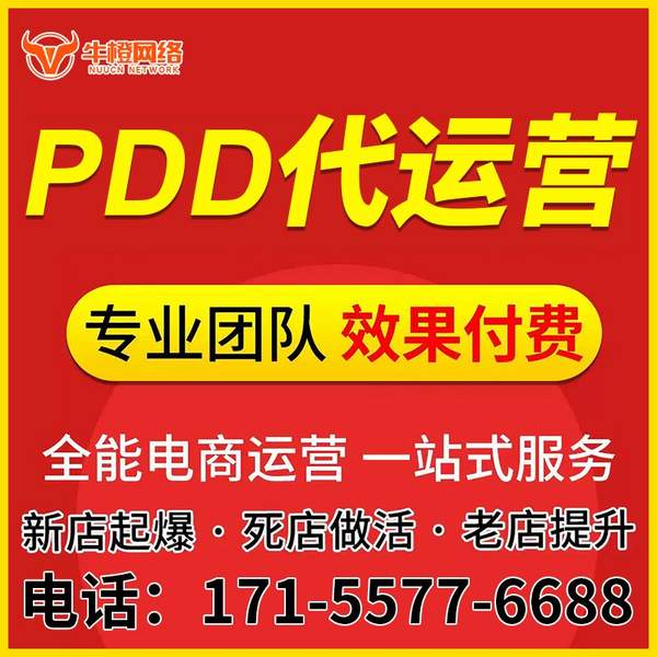 瑞金电商代运营