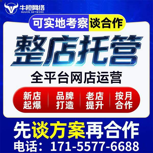 瑞金电商代运营
