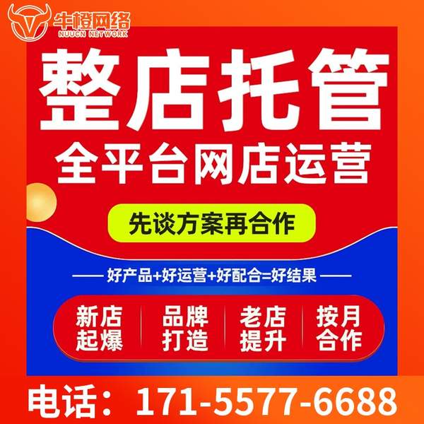 瑞金电商代运营