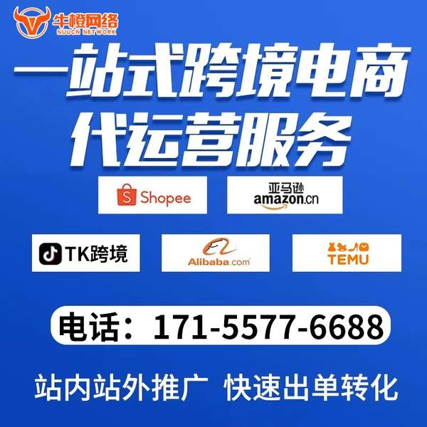 瑞金电商代运营