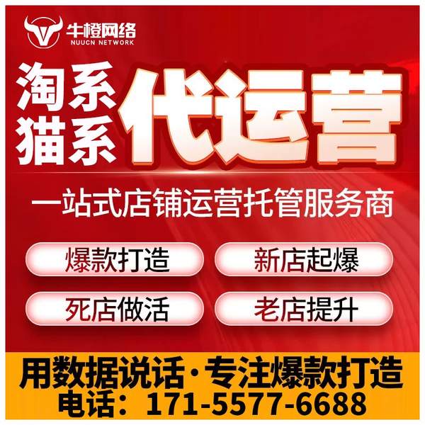 瑞金电商代运营